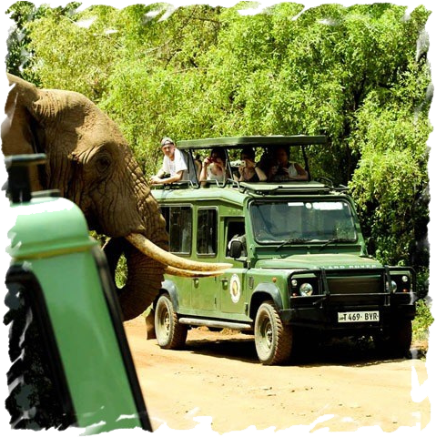 Best private safaris in africa